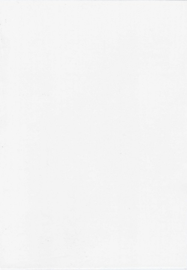 Samolepící fólie na dveře Bílé dřevo Memphis 99-6275 | 1 m x 90 cm - Tapety samolepící