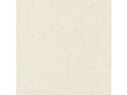 Přetíratelná tapeta Bauhaus 325850 | Lepidlo zdarma Tapety Rasch