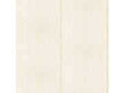 Tapeta Urban Concrete UC21361 | 0,53 x 10 m | Lepidlo zdarma Vavex