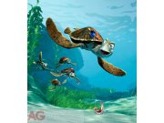 Fototapeta AG Nemo FTDNXL-5110 | 180x202 cm Fototapety