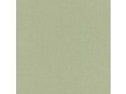 Zelená strukturovaná tapeta Aldora III 423938 | Lepidlo zdarma