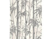 Tapeta bambus Florentine 484830 | Lepidlo zdarma