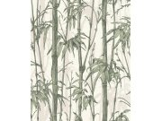Tapeta bambus Florentine 484847 | Lepidlo zdarma Tapety Rasch