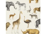 Tapeta zvířata z afriky Stories 552683 | Lepidlo zdarma