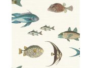 Tapeta ryby Stories 553529 | Lepidlo zdarma Tapety Rasch