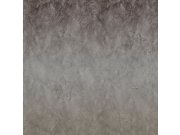 Obrazová tapeta šedý beton Z80074 Philipp Plein 300x300 cm Tapety Vavex