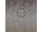 Obrazová tapeta šedý beton Z80073 Philipp Plein 300x300 cm Tapety Vavex