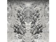 Obrazová tapeta šedý mramor Z80069 Philipp Plein 300x300 cm Tapety Vavex