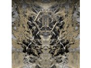 Obrazová tapeta mramor Z80067 Philipp Plein 300x300 cm