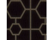 Černá geometrická tapeta s vinylovým povrchem Z80023 Philipp Plein