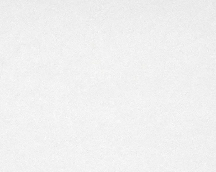 Tapeta Meistervlies 8655-19 - Tapety AS Création