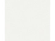 Přetíratelná Tapeta Meistervlies 7 Create 3929-16