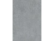 Tapety AS Création - DIMEX WPE-901862 DIMEX WPE-901862