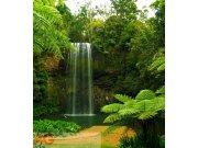 Fototapeta AG Water sall FTNXL-2509 | 180x202 cm Fototapety