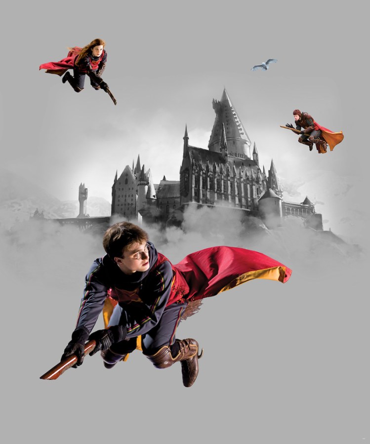 Fototapeta Harry Potter FTD3P5167 | 225 x 270 cm - Fototapety