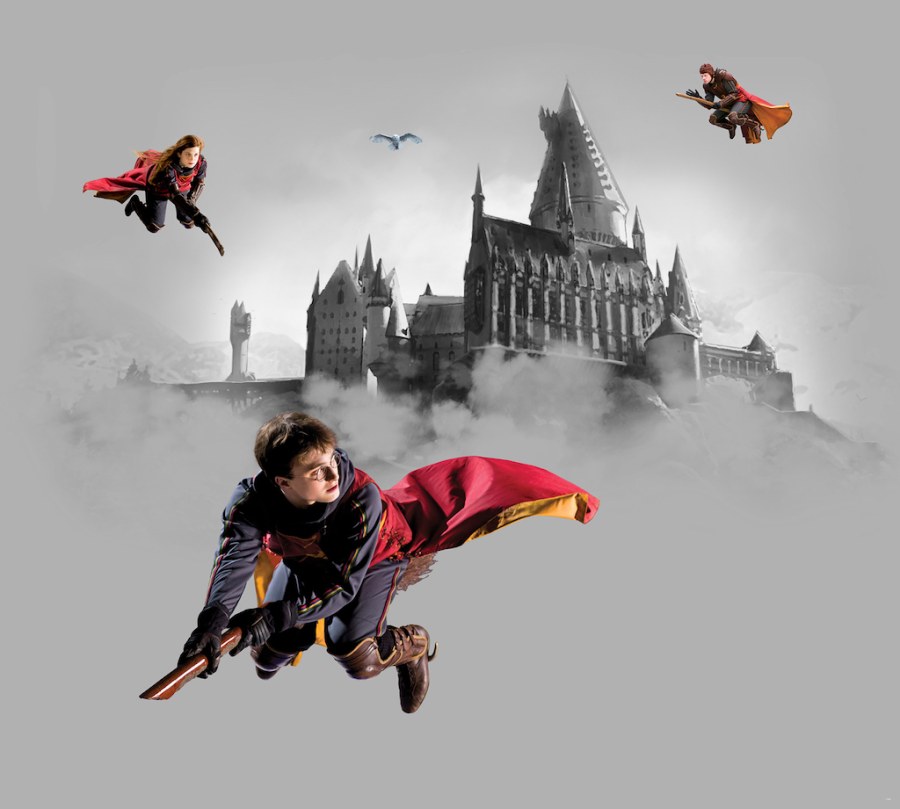 Fototapeta Harry Potter FTD4P5095 | 300 x 270 cm - Fototapety