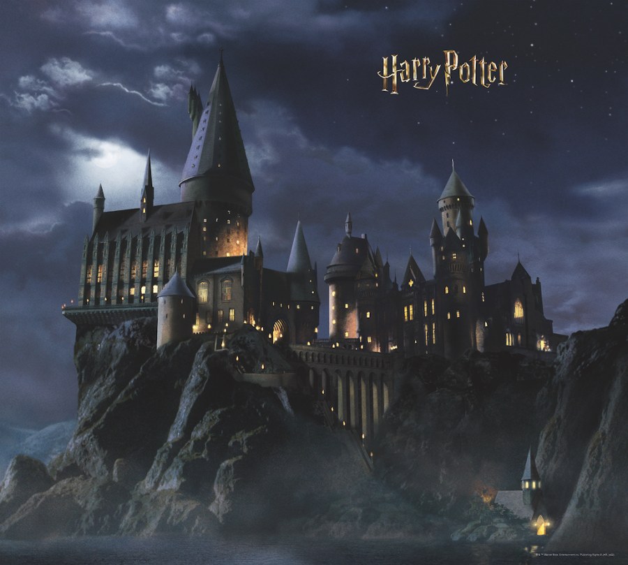 Fototapeta Harry Potter FTD4P7803 | 300 x 270 cm - Fototapety