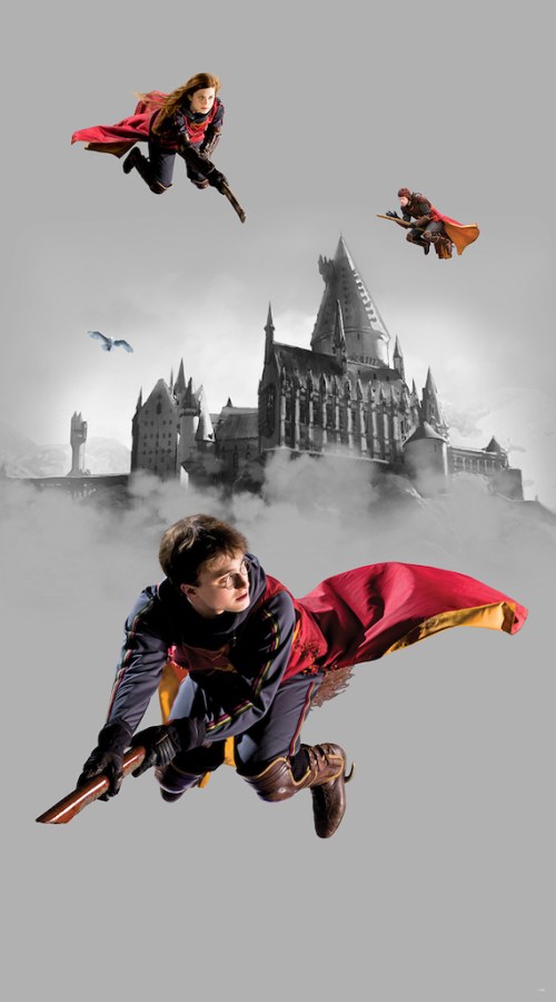 Fototapeta Harry Potter FTD2P5613 | 150 x 270 cm - Fototapety