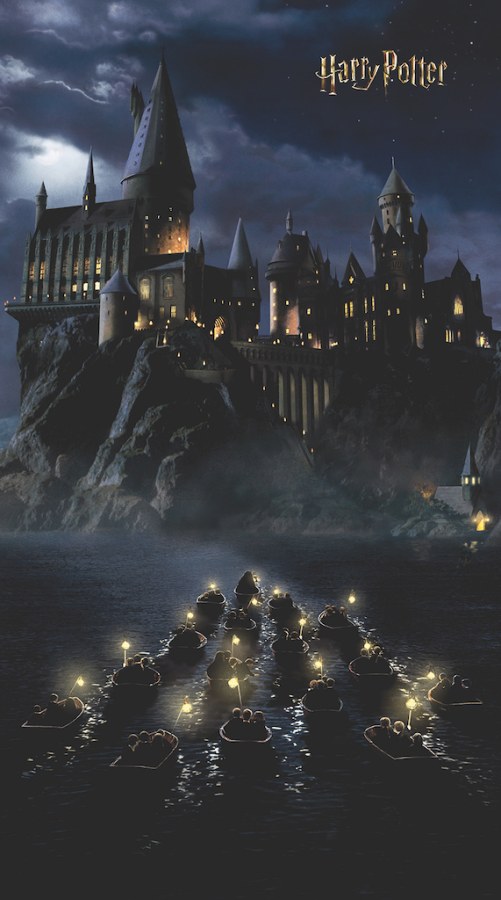 Fototapeta Harry Potter FTD2P5621 | 150 x 270 cm - Fototapety