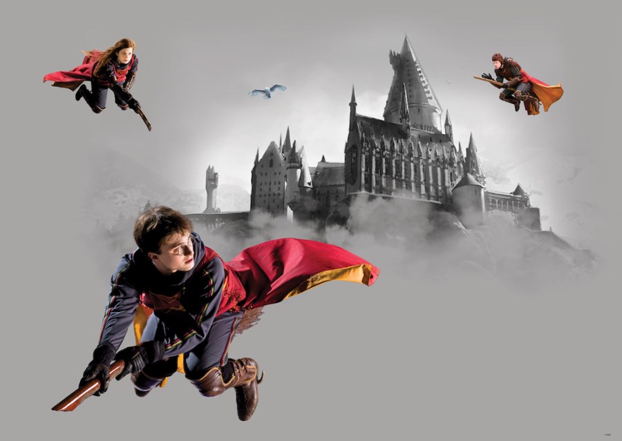 Fototapeta Harry Potter FTDNM5293 | 155 x 110 cm - Fototapety