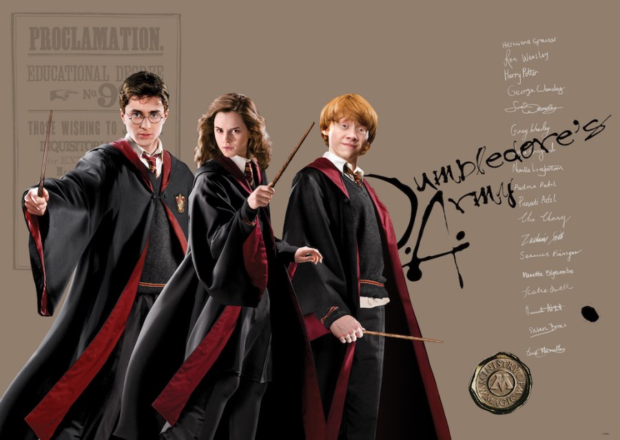 Fototapeta Harry Potter FTDNM5295 | 155 x 110 cm - Fototapety