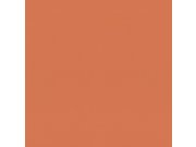 Tapeta Rasch 687569 Allegretto