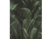 Tapety Rasch - Tapeta Back to Nature 416237 | Lepidlo zdarma Tapeta Back to Nature 416237 | Lepidlo zdarma