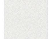 Přetíratelná Tapeta Meistervlies 2992-15