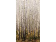 Fototapeta | Stromy | Les | A42601 | Lepidlo zdarma