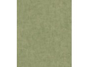 Tapety Vavex - Tapeta | zelená | beton | štuk | A51515 | Lepidlo zdarma Tapeta | zelená | beton | štuk | A51515 | Lepidlo zdarma