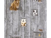 Tapeta Little Stars 35842-1 35842-1V
