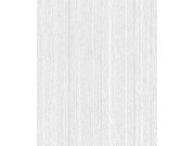 RASCH 642124 Tapety AS Création