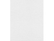 RASCH 340433 Tapety AS Création