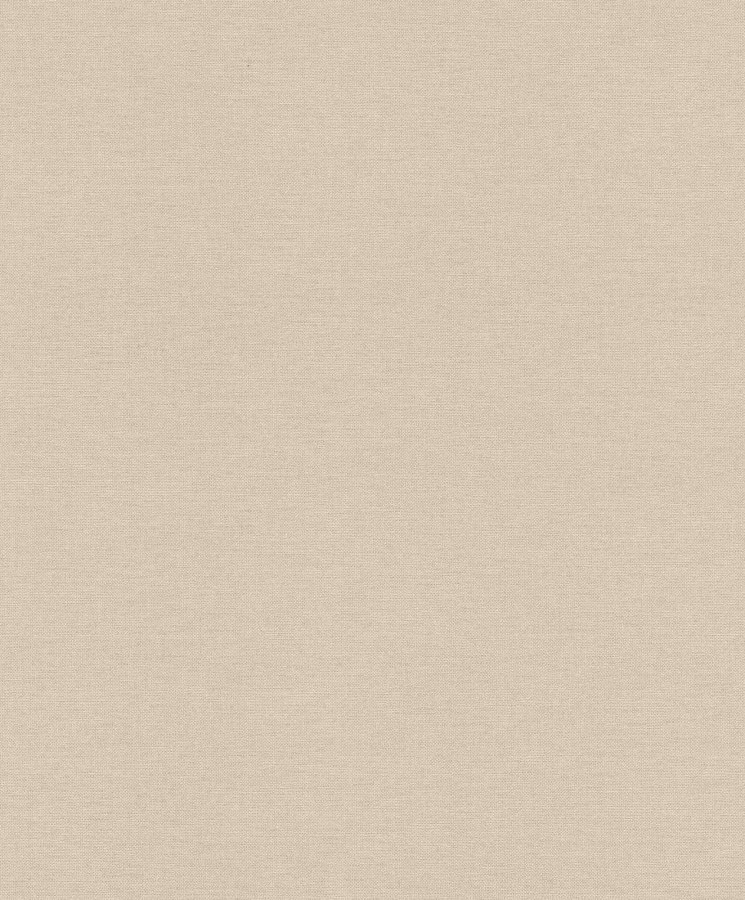 RASCH 709667 RASCH 709667