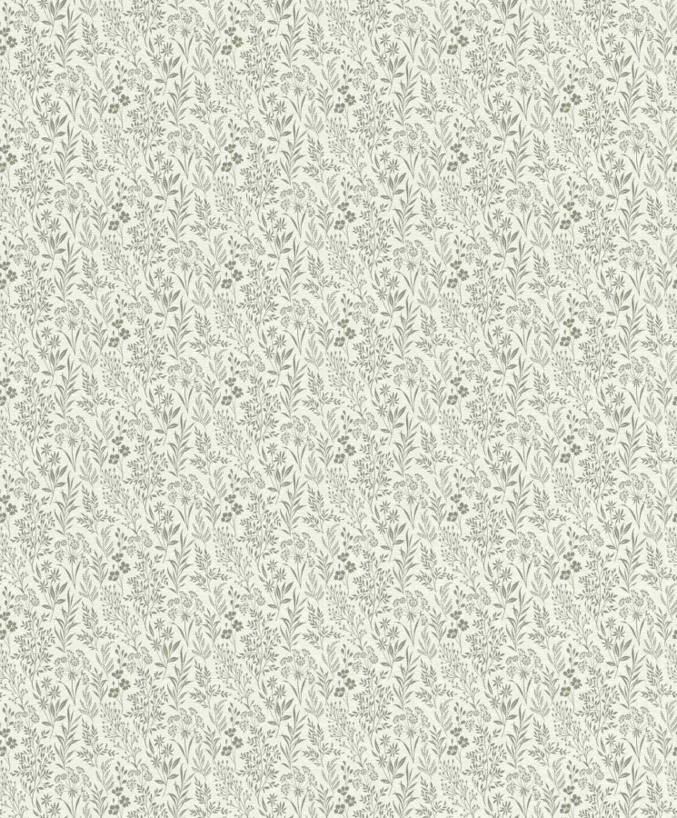 RASCH 709353 RASCH 709353