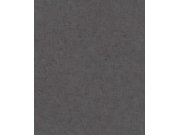 RASCH 520927 Tapety AS Création