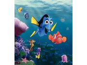 Fototapeta AG Nemo & Dory FTDXL-1932 | 180x202 cm Fototapety