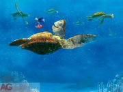 Fototapeta AG Nemo FTDNXXL-5034 | 360x270 cm Fototapety