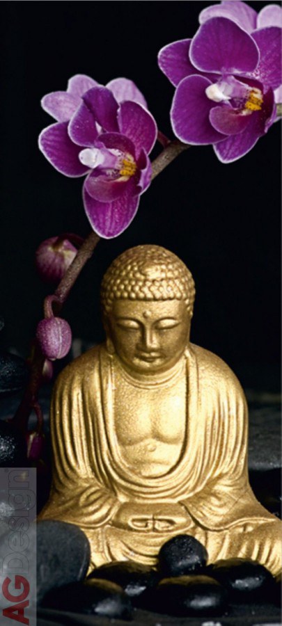 Fototapeta Buddha FTNV-2805 | 90x202 cm