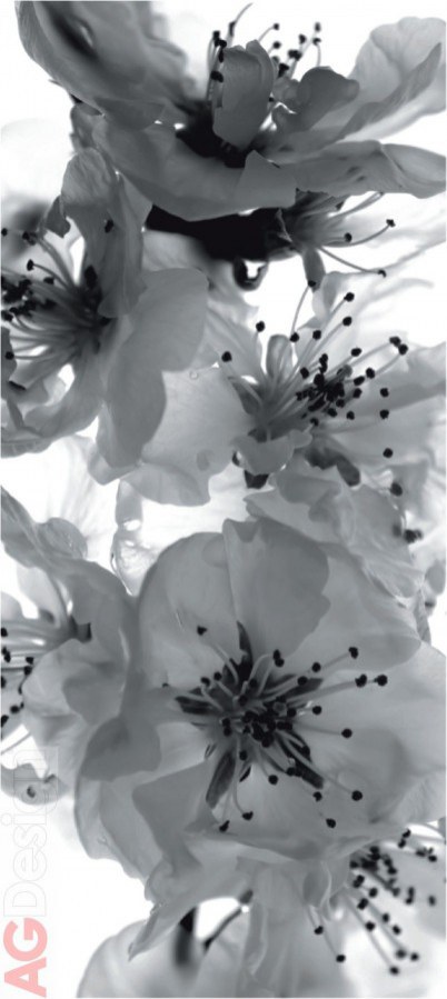 Fototapeta Černobílá Květiny FTNV-2863 | 90x202 cm