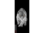 Fototapeta Leopard FTNV-2897 | 90x202 cm Fototapety