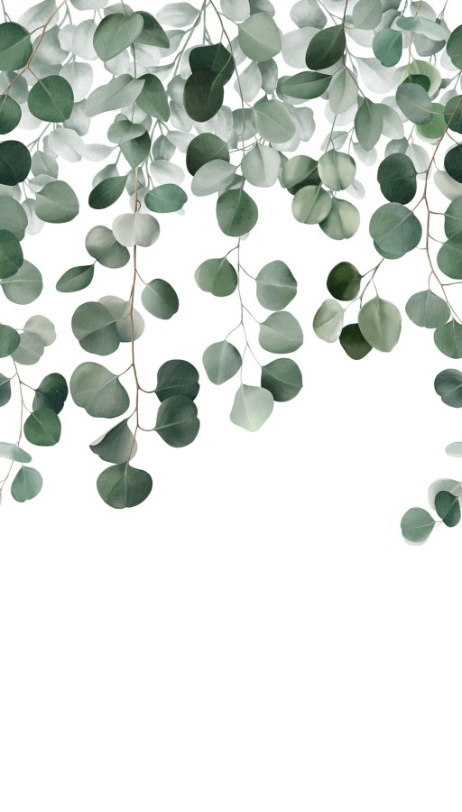 Fototapeta na zeď - Tapety Yara