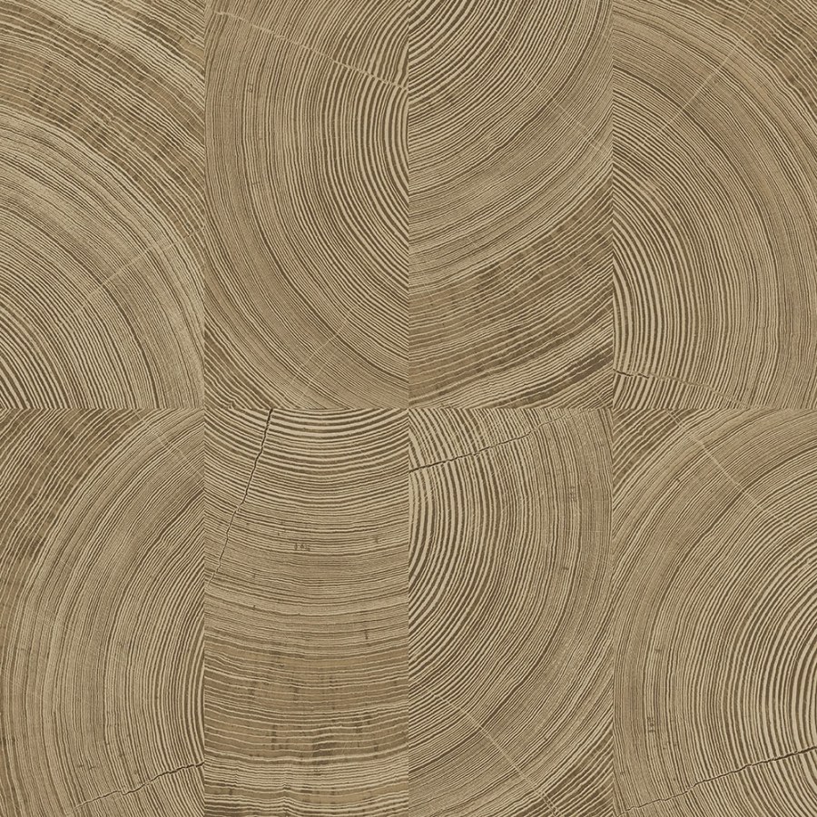 Hnědo-béžová tapeta na zeď Hnědo-béžová tapeta na zeď