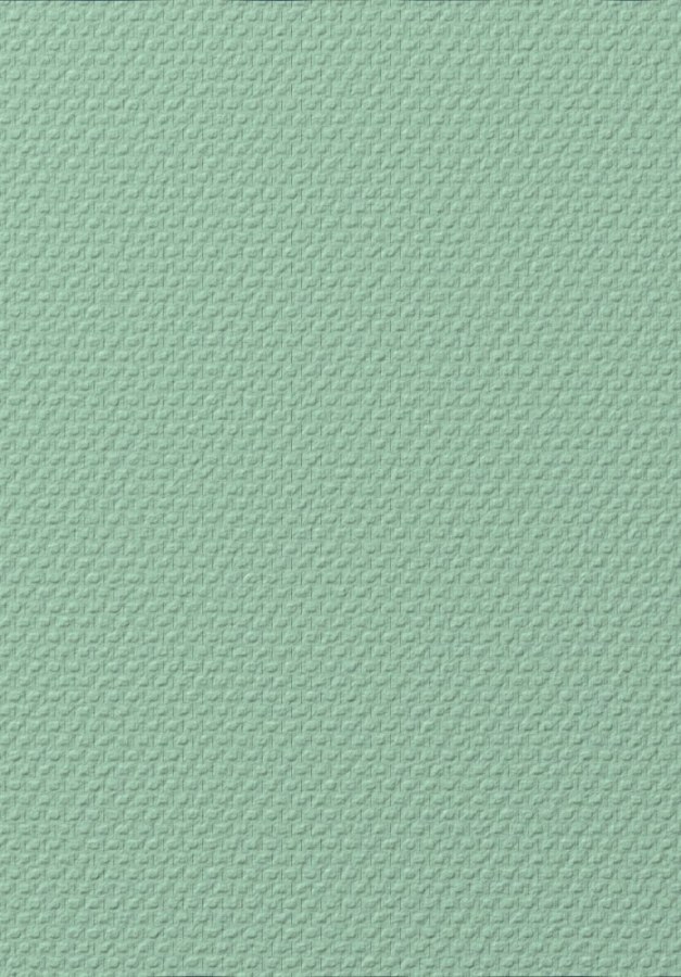 Přetíratelná sklovláknitá tapeta T1010 Přetíratelná sklovláknitá tapeta T1010