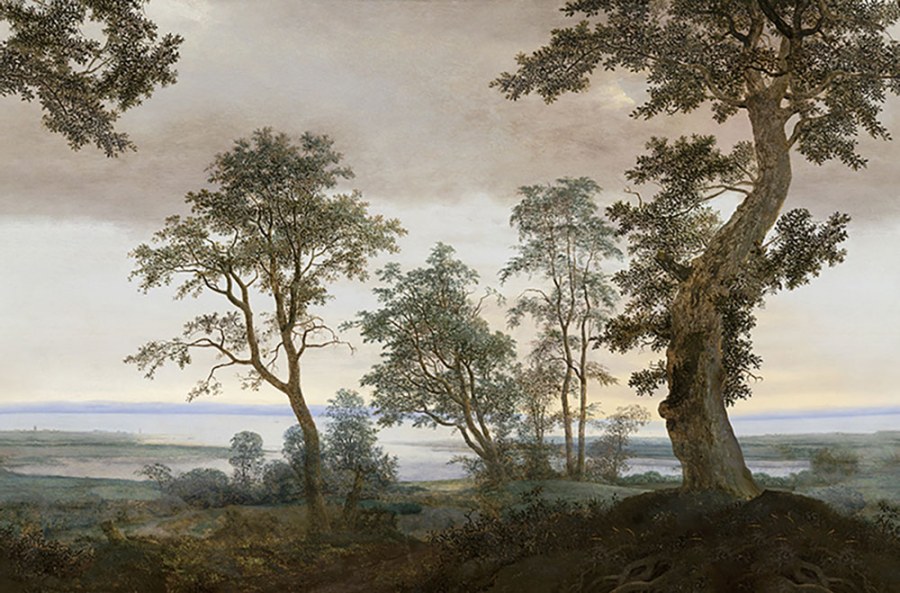 Fototapeta na zeď - Tapety Yara