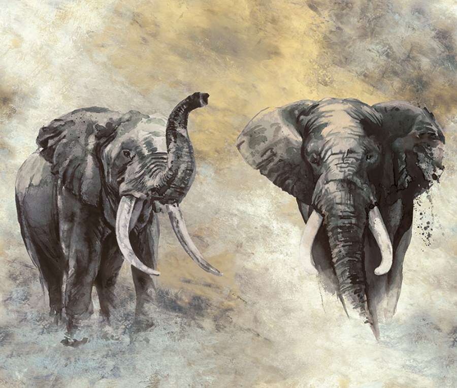 Fototapeta na zeď - Tapety Yara