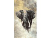 Tapety Yara - Fototapeta na zeď Fototapeta na zeď