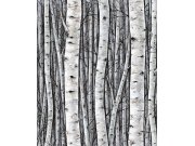 Tapeta na zeď, šedo-modrá, stromy, březový háj, Timber, Marburg Tapety Yara
