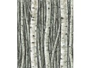 Tapeta na zeď, zelená, stromy, březový háj, 35380, Timber, Marburg Tapety Yara