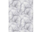 Fototapeta na zeď, šedá, listy, Kumano, Marburg